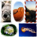 /album/fotogaleria/collage-jpg/
